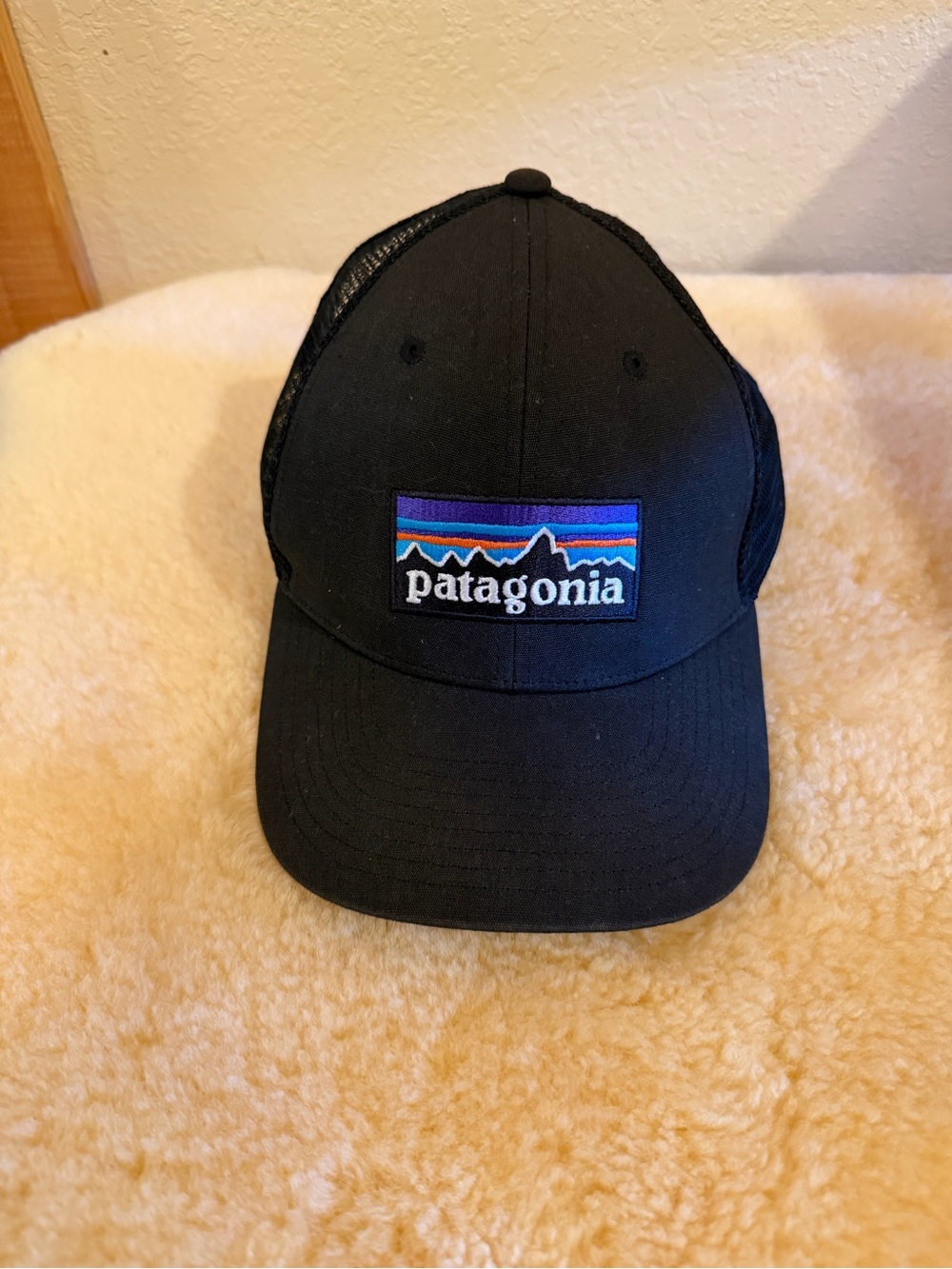Patagonia Black Mesh Trucker Hat - OS